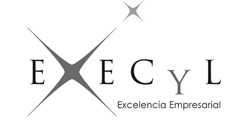 Logo Execyl