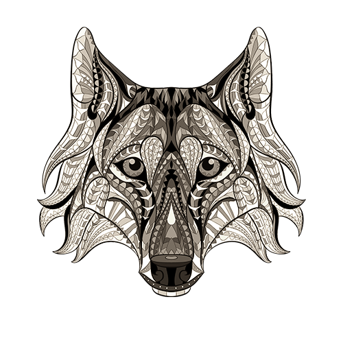 Lobo Honest Experience
